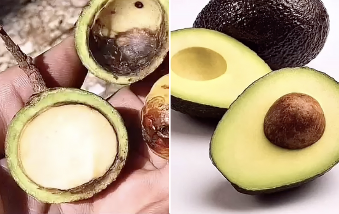 Окультурення значно їх змінило: як раніше виглядали популярні овочі й фрукти (відео)